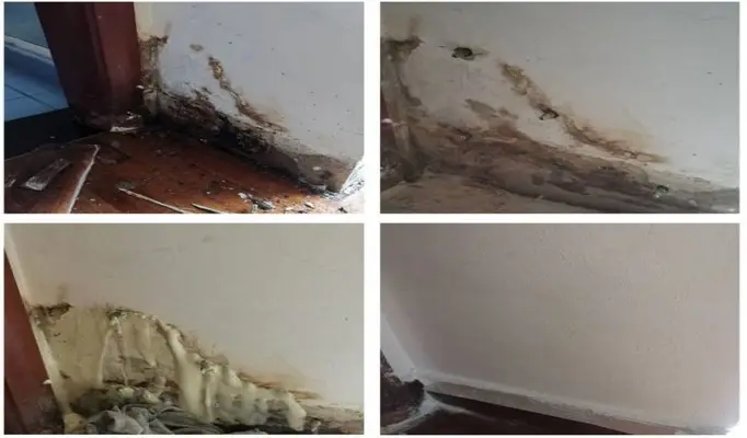 Water Seepage and Water Leakage Repair 12 PU Injection by Allstar Waterproofing & Services
