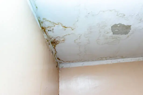 Ceiling Leakage Repair 4 Ceiling buckling inwards