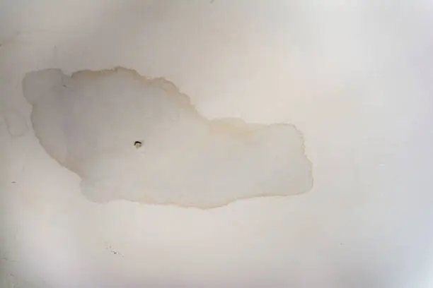 Ceiling Leakage Repair 2 Water spots in ceiling