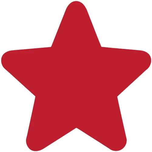 Roof Waterproofing Contractor Singapore 10 star icon