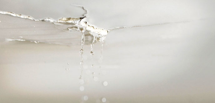 ceiling drop off due to wet cement