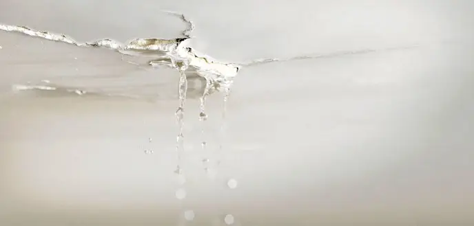 ceiling drop off due to wet cement