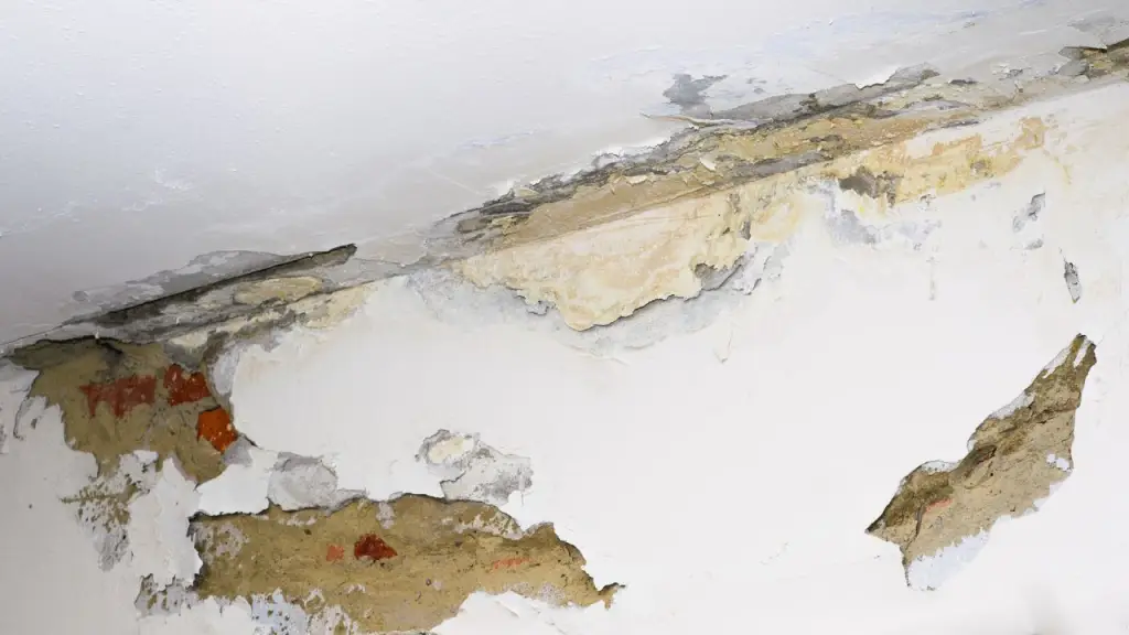 Waterproofing Specialist Singapore: Costs, Checks and Repair Guide 2026 2 resolve upper floor inter leakage
