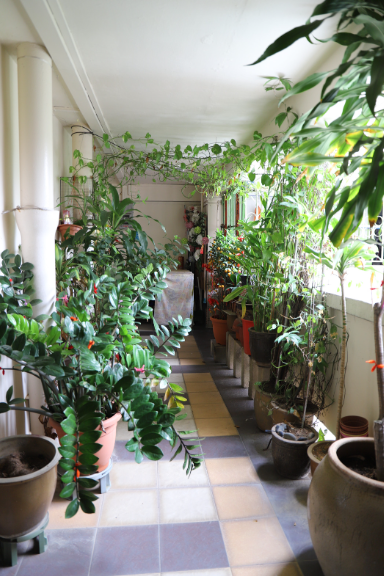 Benefits of Waterproofing a Balcony in Singapore's Climate 3 exterior balcony waterproofing can help remove signs of water damage especially for concrete walls and old building
