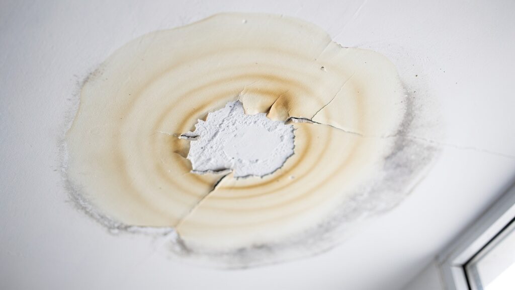 Water Leakage Specialist Singapore: Complete Guide 1 image 15