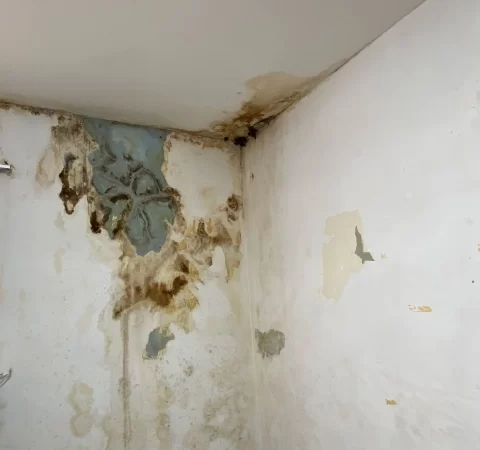 Water Leakage Repair by Allstar Waterproofing & Services